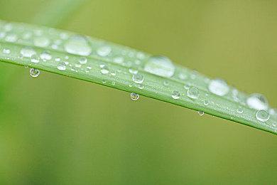 Skyblivion开发者并不担心《上古卷轴4》重制版